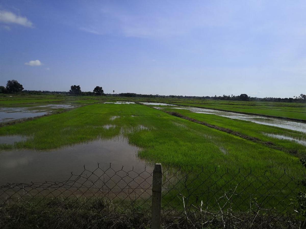 Ummi'S Homestay Besut Kampung Kuala Besut ภายนอก รูปภาพ